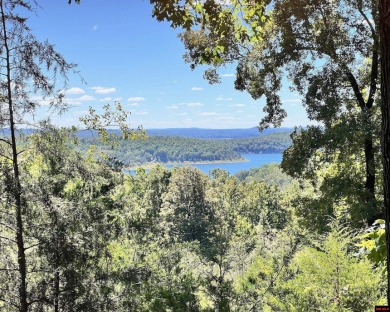 Norfork Lake Lot For Sale in Elizabeth Arkansas