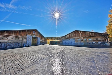 (private lake, pond, creek) Home For Sale in Molina Colorado