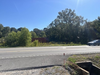 Nice commercial lot on Hwy 613 north of I-10 on the east side of - photo 2