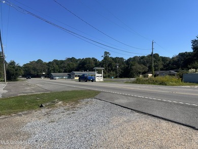 Nice commercial lot on Hwy 613 north of I-10 on the east side of - photo 4