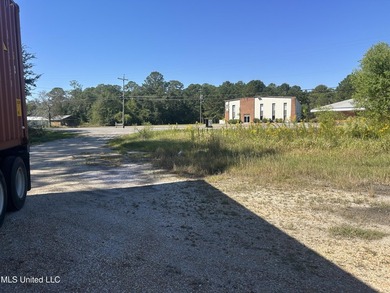 Nice commercial lot on Hwy 613 north of I-10 on the east side of - photo 7