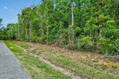 Just under 3/4 acre in Waveland-minutes to Old Town, beaches - photo 1