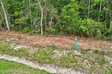 Just under 3/4 acre in Waveland-minutes to Old Town, beaches - photo 3