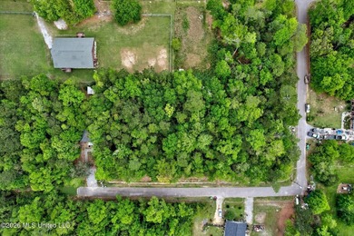 Just under 3/4 acre in Waveland-minutes to Old Town, beaches - photo 4