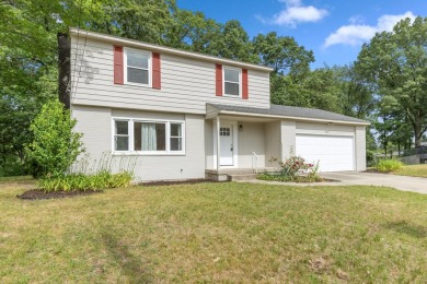 Lake Home For Sale in Grand Rapids, Michigan