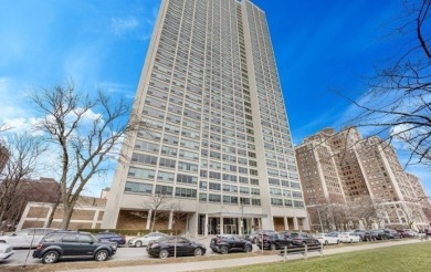 Lake Michigan - Cook County Condo Sale Pending in Chicago Illinois
