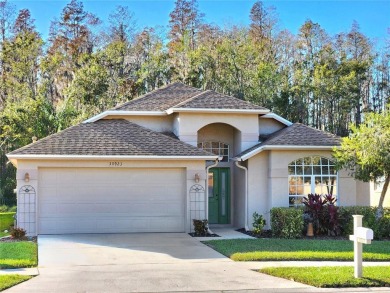 Lake Home For Sale in Wesley Chapel, Florida