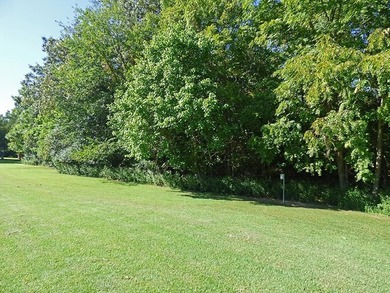 (private lake, pond, creek) Lot For Sale in Cherokee Village Arkansas