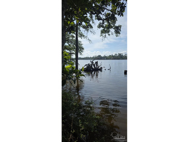 Build your dream waterfront home , or two! With no HOA! This - photo 22