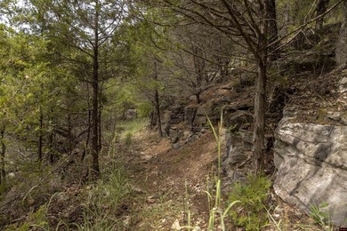Discover 1,190 contiguous acres m/l on the edge of the Buffalo - photo 25