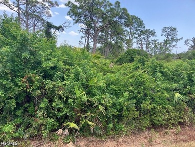 Build your dream home in the quite section of Port Charlotte - photo 2