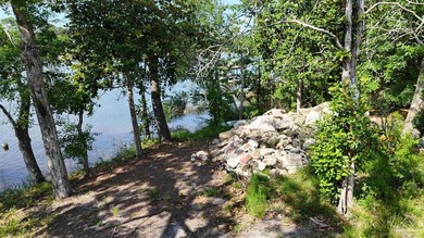 Build your dream waterfront home , or two! With no HOA! This - photo 44