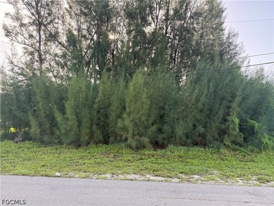 Build your Florida dream home on this *PRIME VACANT LOT* located - photo 1