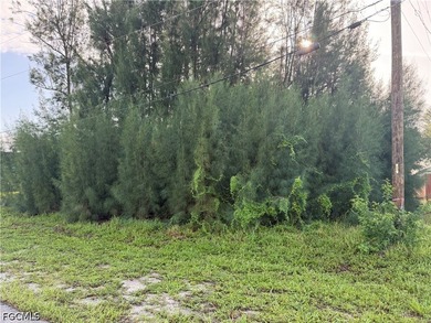 Build your Florida dream home on this *PRIME VACANT LOT* located - photo 2