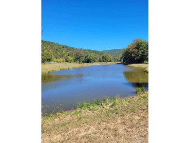 (private lake, pond, creek) Acreage For Sale in Ozone Arkansas
