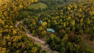 Discover 1,190 contiguous acres on the edge of the Buffalo River - photo 2