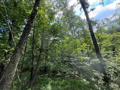 (private lake, pond, creek) Acreage For Sale in Slippery Rock Pennsylvania