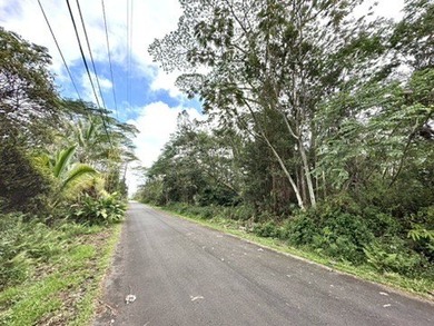 1 acer lot located in the vibrant Leilani estates subdivision - photo 1
