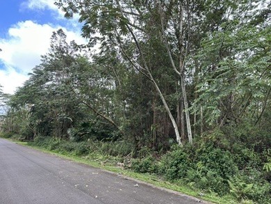 1 acer lot located in the vibrant Leilani estates subdivision - photo 2