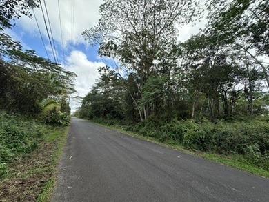 1 acer lot located in the vibrant Leilani estates subdivision - photo 3