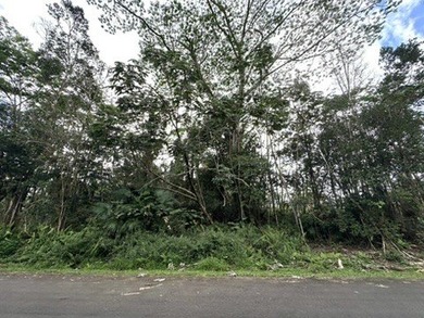 1 acer lot located in the vibrant Leilani estates subdivision - photo 4