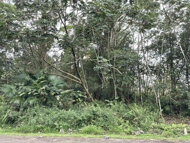 1 acer lot located in the vibrant Leilani estates subdivision - photo 5