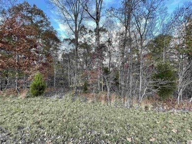 Lake Lot For Sale in Murray, Kentucky