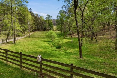 (private lake, pond, coastal) Home For Sale in Young Harris Georgia