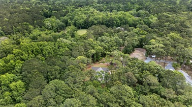 New Construction on Johns Island! This thoughtfully designed - photo 46