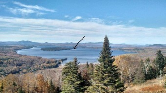 Lake Lot For Sale in Rangeley Plantation, Maine