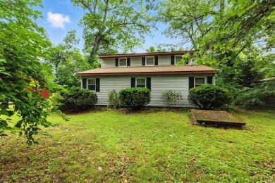 Lake Home For Sale in Winamac, Indiana
