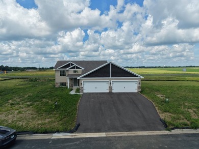 This brand new 4 bedroom, 3 bathroom, 4-car garage home features - photo 1