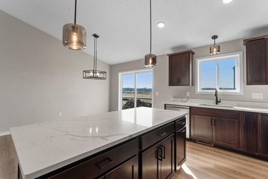 This brand new 4 bedroom, 3 bathroom, 4-car garage home features - photo 7