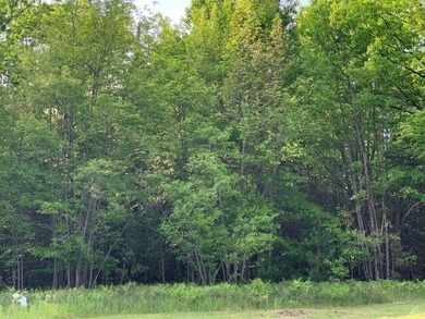 Vacant Commercial Acreage along Highway M-55 400' frontage on - photo 3