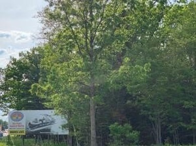Vacant Commercial Acreage along Highway M-55 400' frontage on - photo 6