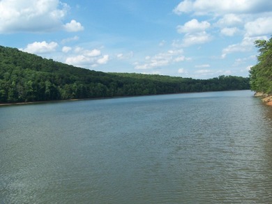 Beautiful view up and down the main channel from this wooded lot - photo 1