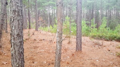 Beautiful view up and down the main channel from this wooded lot - photo 3