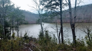 Beautiful view up and down the main channel from this wooded lot - photo 4