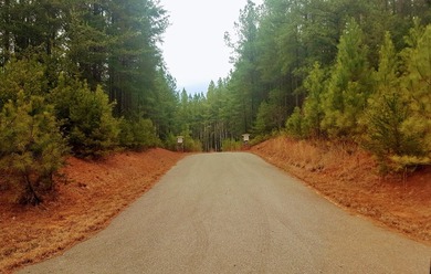 Beautiful view up and down the main channel from this wooded lot - photo 7