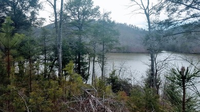 Beautiful view up and down the main channel from this wooded lot - photo 8
