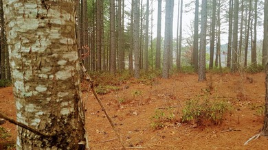 Beautiful view up and down the main channel from this wooded lot - photo 10