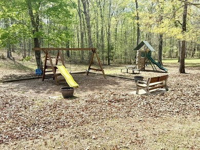 LAKE HOUSE- LIKE NEW -WITH DEEP WATER SHARED DOCK--MOVE-IN - photo 38