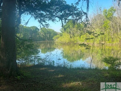 (private lake, pond, coastal) Acreage For Sale in Sylvania Georgia