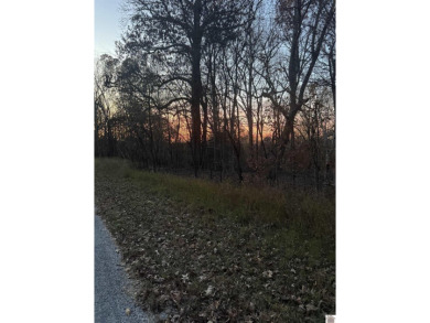 Lake Lot For Sale in Cadiz, Kentucky