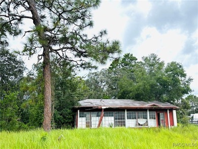 Commercial property on U.S. Highway 19/98 just north of Cardinal - photo 13