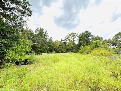 Commercial property on U.S. Highway 19/98 just north of Cardinal - photo 14