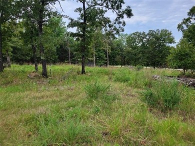 Lake Eufaula Lot For Sale in Canadian Oklahoma