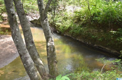 Lake Acreage For Sale in Wedowee, Alabama