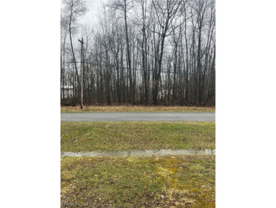 Lake Lot For Sale in Roaming Shores, Ohio