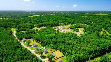 Built in 2023, this nearly new single-story home offers a - photo 31